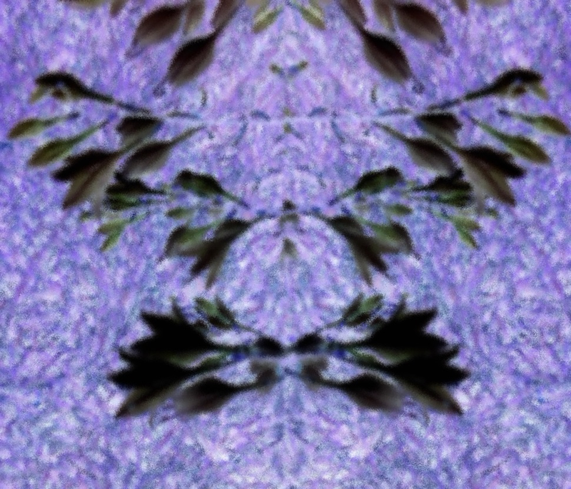 Illustration for article titled 10 Vivid Rorschach Tests, Made By Camera